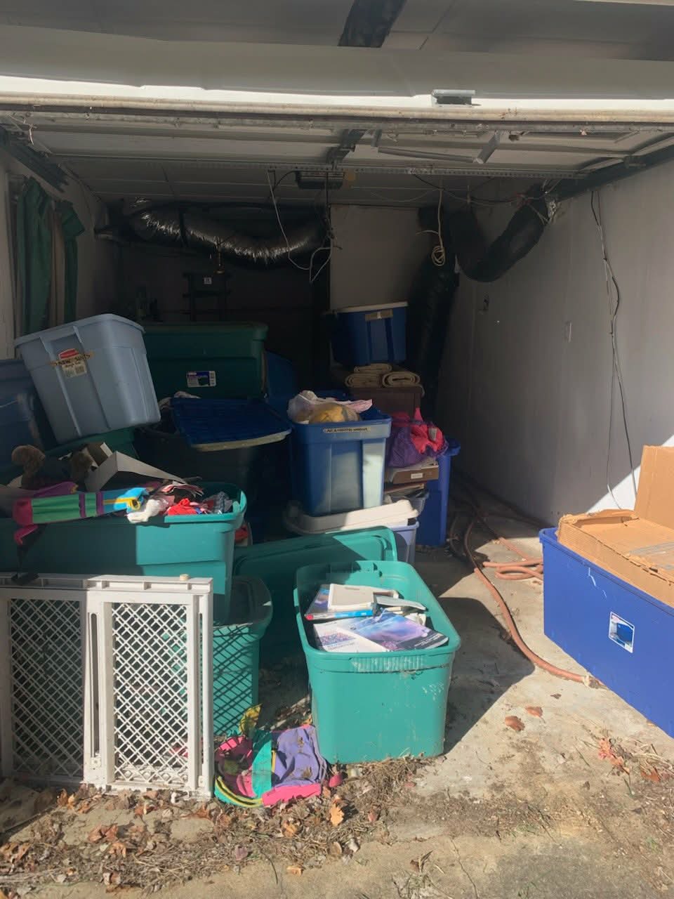 Garage Cleanout before