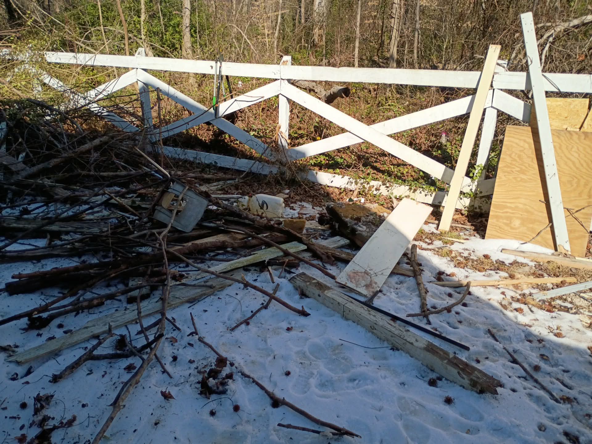 Yard Debris before